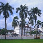 basilicabomjesus goa trees