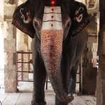 @instagram: ????????????
#гоа #отдых #отпуск #индия #путешествие #сансет #небо #красиво #лето #скалы #азия #море #океан #природа #еда #рецепты #goa #lndia #sky #travel #mandrem #anjana #arambol