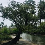 @instagram: Agonda in monsoon :)