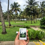 @instagram: // palm trees & ocean breeze ????