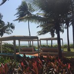 majorda india goa season