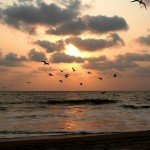 india goa sunset