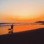 palolem india goa beach