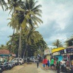 palolem india goa beach nature