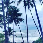 anjuna india goa beach nature summer