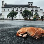 basilicabomjesus india church