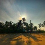 colva india goa beach morning trees