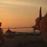 benaulim india goa beach nature sunset