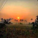 benaulim india goa morning sunrise trees