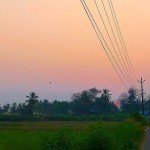 benaulim goa beach sunset