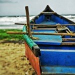 benaulim india goa beach nature