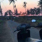 betalbatim india goa beach sunset trees beautiful