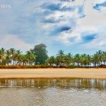 benaulim india goa beach