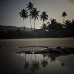 ashvem goa beach hotel