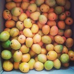 ashvem goa beach hotel