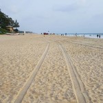 betalbatim india goa beach nature