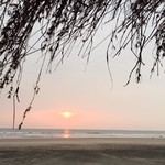 ashvem india hotel holi