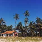 ashvem india goa morjim