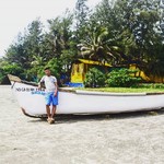 vagator goa beach trees