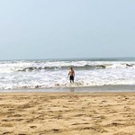 agonda india goa beach nature