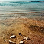 betalbatim india beach colva