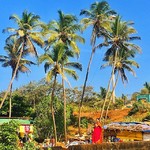 @instagram: #goa #vagatorbeach #vagator #anjuna #india #indianocean #palms #woman #indianwoman #trees #travel #travelgram #igtravel #sky #sun #sunshine #sunnyday