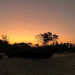 @instagram: In your warmth... all things meltaway ✨
.
.
.
#goa#goachronicles#dawn#sunrise
#breakingdawn#ablazeoforange
#beach#beachlife#mornings
#dawn#horizons#newbeginnings#sandandsea#fatradebeach#varca
#southgoa#india
#incredibleindia#fishermen
#fishingboat
#fisher