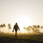 majorda india goa morning