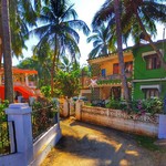 @instagram: #goa #india #candolim #portugues #nature #brightcolor