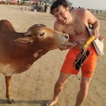 arambol india goa traffic ashvem