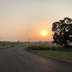 @instagram: #sunrise #betalbatim #beautifull goa# come and enjoy#pic cap Joseph