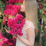 betalbatim india goa nature sunset colva