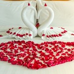 @instagram: Love begins in a moment, grows over time and lasts for eternity. Make each and every moment count with us at #NovotelGoaDonaSylvia
.
.
.
#NovotelGoaDonaSylviaResort #PureBliss #WeddingBells #PerfectLove #PerfectLocation #Goa #Cavelossim