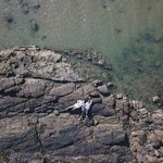 @instagram: #goa #morjim #goamorjim #morjimbeach #safaevfoto #onlytheroadonlytogether #fazlyevsday #толькодорогатольковместе #деньфазлыевых