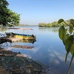 @instagram: River Delta bei Cavelossim ????
#goa #india #cavelossim #travelbirdie #travelblogger #travel #digitalnomad #digitalnomads #digitalnomadstyle #digitalnomadlifestyle