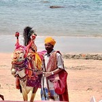 @instagram: #themanandthebull #holybull #thatsrightnotholycow #palolem #sightsofgoa