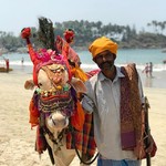 @instagram: Cow-nting down to Holi! ????: @lydiatsmith .
.
.
.
.
#india #travel #cow #holi #palolem #goa