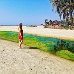 @instagram: Болотце #colva#colvabeach#india#goa#travel#sea