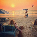 @instagram: Love, companionship and sunsets ????
???? @mad.by.name