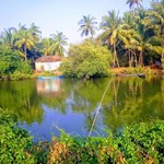 @instagram: #Goa #Arpora #magic