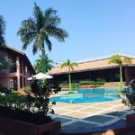 @instagram: Majapaikkamme Colvassa keskellä paikallisten elämää.???? Aamuisin lehmät viedään riisipellolle. Reitti kulkee hotellimme edustalta. Pulut käyvät juomassa hotellin uima-altaalta. Iltaisin altaaseen levitetään klooria. Hetikohta tämän jälkeen lepakot ilmest