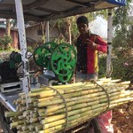 @instagram: Maistettiin tällä viikolla bambujuomaa. Oli kyllä mielenkiintoinen maku.???? Kaveri, jonka nimi ei valitettavasti jäänyt mieleen, veti bambut ehkä viitisen kertaa koneensa läpi. #bambujuoma #intia #goa #colva #24032019