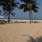 @instagram: #moborbeach #cavelossim #goa #india #workinginthesun #itsatoughlife #beautifulbeaches #palmtrees #bluesky #serenity #travel #wanderlust