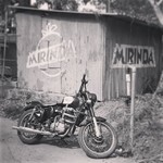 @instagram: #royalenfield #motorcycle #motorbike #blackandwhite #anjuna #fleamarket #hippie #hippy #hippymarket #goa #india #mirinda