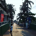 @instagram: Healthy palm vibes
#baga #goa #montermood #beach #samsunga50 #brocode