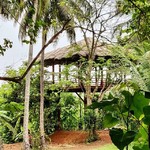 @instagram: Our new yoga pavilion with an endless view of the paddy fields at Frangipani House, Siolim Goa. #the_rose_nomad #frangipanisiolim #yoga #goavillas #boutiquehomes #yogapavilion #goalife #siolim