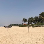 @instagram: В волейбол поиграть желающих нет, все тюльки. ????
#NamasteIndia_Stacy_Mali????????
#Stacy_Mali_GOA????????
#Stacy_Mali_India????????
#Индия #India #ГОА #GOA #Benaulim #Benaulimbeach