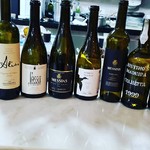 @instagram: #vinho #bairrada #baga