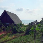 @instagram: Serenity ????
????: @trishaanand21 
#goa #goavibes #gogoa #goainsta #goatimes #goaplaces #goa #goan #beach #vagator #bliss #goabeaches #goa #SoGoa