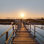 @instagram: Remeniscing sunset walks to the beach.

#Goa #Mandrem #Sunset #Beach